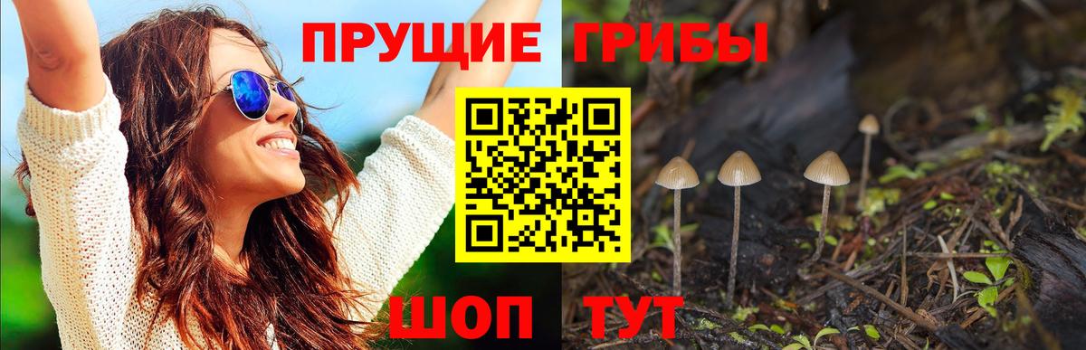 Галлюциногенные грибы Magic Shrooms Семёнов